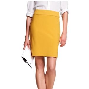Banana Republic Gold Skirt Size 6